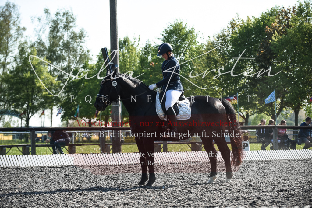 DSC_8507 | Pferde- und Turnierfotografie in Westsachsen. Pferdeportraits, Auftragszeichnungen und intuitive Kunst.