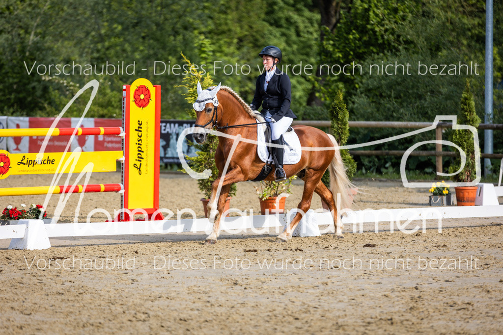 Donop24-A-Dre-142 | MomenTaufnahmen Pferdesportfotos