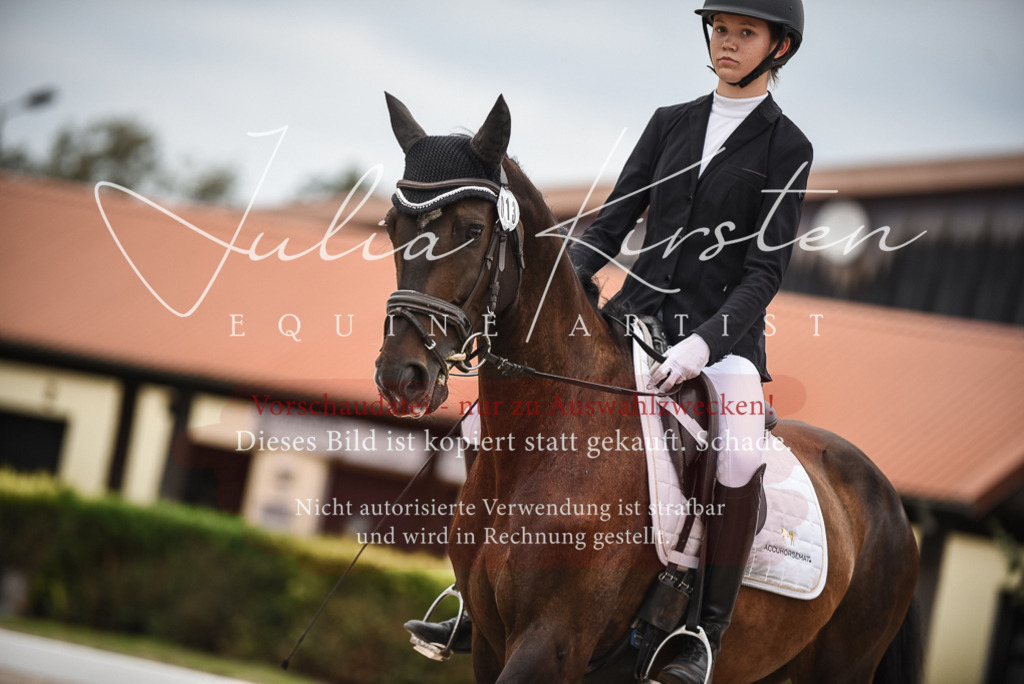 DSC_7902 | Pferde- und Turnierfotografie in Westsachsen. Pferdeportraits, Auftragszeichnungen und intuitive Kunst.