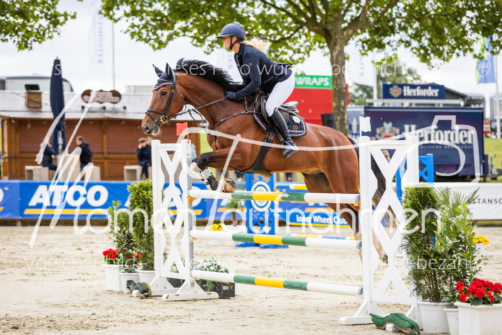 BHO-2PhSpr-M-5-2100 | MomenTaufnahmen Pferdesportfotos