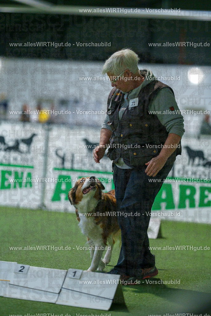 7R504034 | Professionelle Tierfotografie in Mönchengladbach von Daniel Wirth (allesWIRTHgut). Liebevolle & natürliche Bilder von Hunden & Katzen für unvergessliche Erinnerungen.