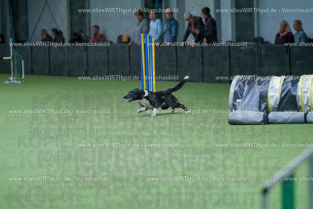 @allesWIRTHgut_Tierfotografie - www.allesWIRTHgut.de - 2604251057-7R500650 | Professionelle Tierfotografie in Mönchengladbach von Daniel Wirth (allesWIRTHgut). Liebevolle & natürliche Bilder von Hunden & Katzen für unvergessliche Erinnerungen.