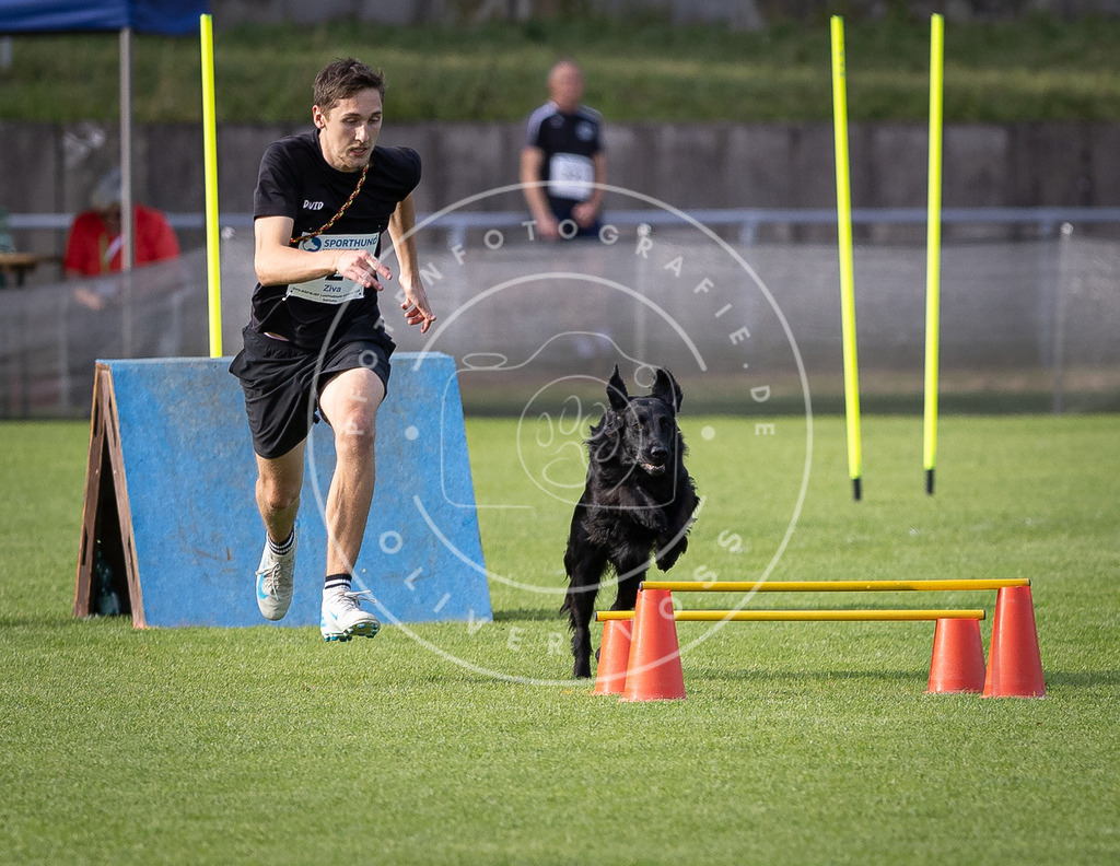 Pfotenfotografie_DV3A2865 | Hundefotografie, Tierfotograf, Pfotenfotografie, Fotoshooting Hund, Hunde Portrait, Hundesport, Hundeportraits, Heideshooting, Hunde, Sportfotograf, Hundefotograf, Turnierhundsport, THS,  - Realisiert mit Pictrs.com