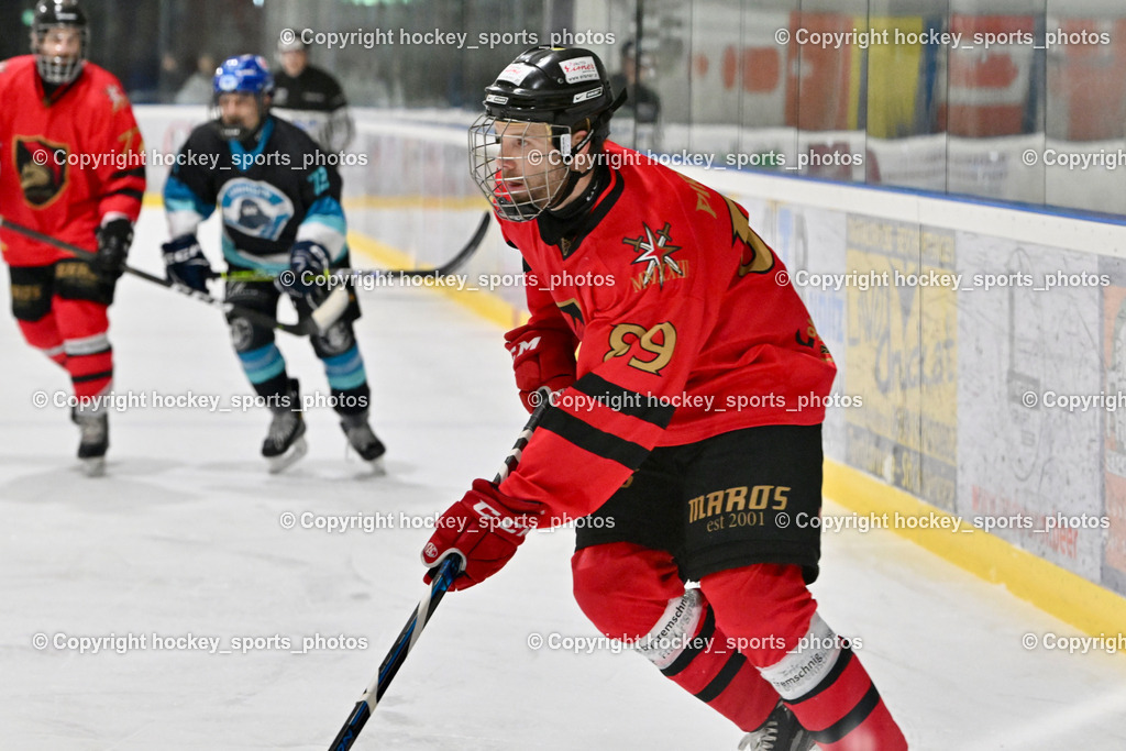 Lendhafen Seelöwen vs. Spartans Althofen | #89 Pirmann Markus Spartans Althofen, Lendhafen Seelöwen vs. Spartans Althofen, Lendhafen Seelöwen vs. Spartans Althofen am 14.02.2025 in Ferlach (HTC Eishalle Ferlach), Austria, (Photo by Bernd Stefan)