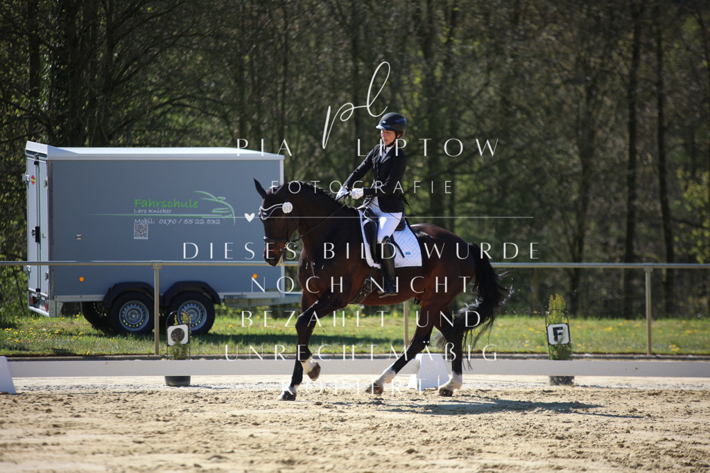 IMGT9560 | pl-fotografie