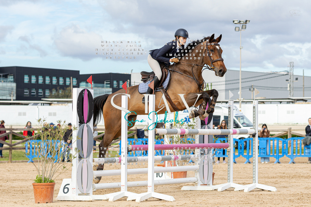 IMG_2878 | s-jay-photography - Realisiert mit Pictrs.com