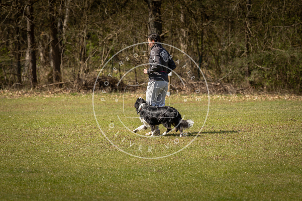 Pfotenfotografie_DV3A1070 | Hundefotografie, Tierfotograf, Pfotenfotografie, Fotoshooting Hund, Hunde Portrait, Hundesport, Hundeportraits, Heideshooting, Hunde, Sportfotograf, Hundefotograf, Turnierhundsport, THS,  - Realisiert mit Pictrs.com