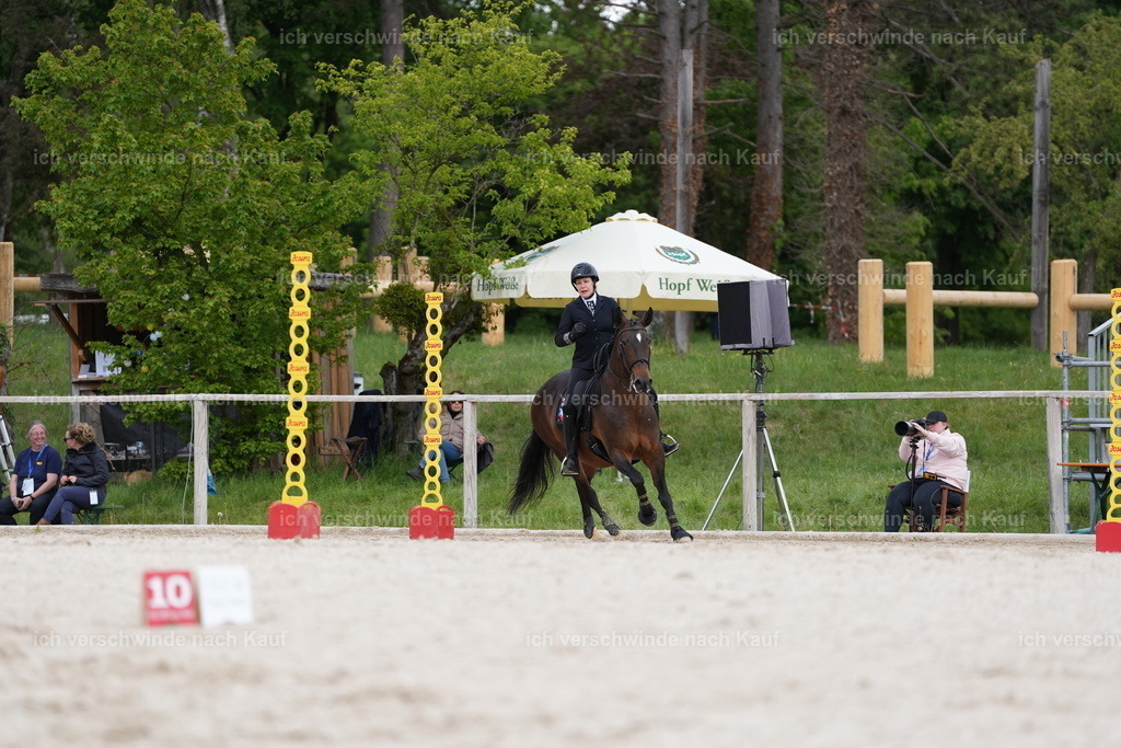 PI26_ST_Jan_Picutures7C_07035.JPG | working equitationturnier fotograf videograf stoibphotography marixx film working equitation deutschland reitsport turnierfotografie eventfotografie equestrian events
