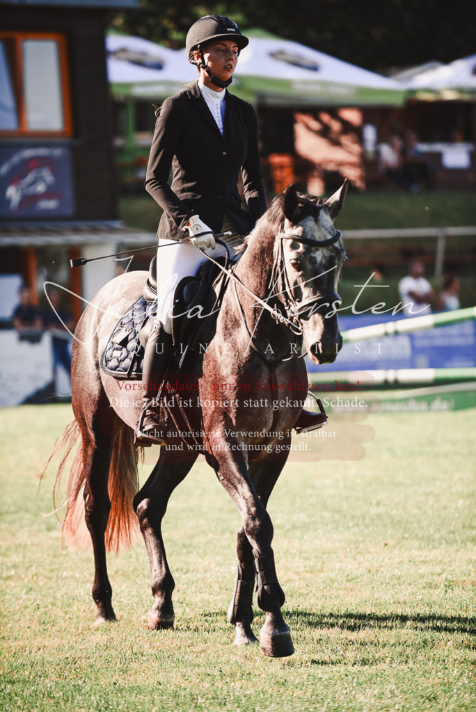 DSC_2219 | Pferde- und Turnierfotografie in Westsachsen. Pferdeportraits, Auftragszeichnungen und intuitive Kunst.