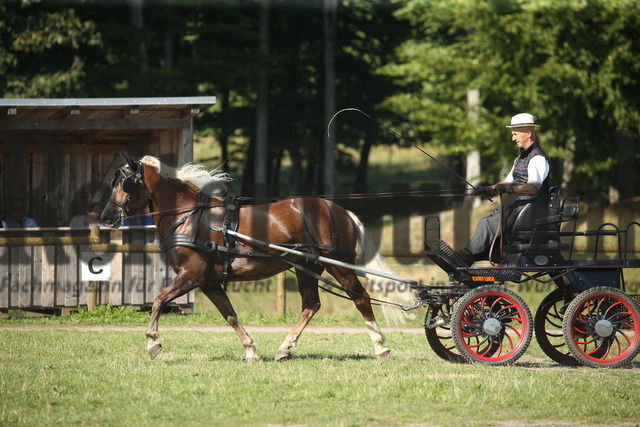 Leistungsprüfung_Sankt Märgen_2022_KN_14_Jelisan Ramea (10) | Alle Fotos der Reiterjournal Fotografin Doris Matthaes im Reiterjournal Online-Fotoshop. - Realisiert mit Pictrs.com