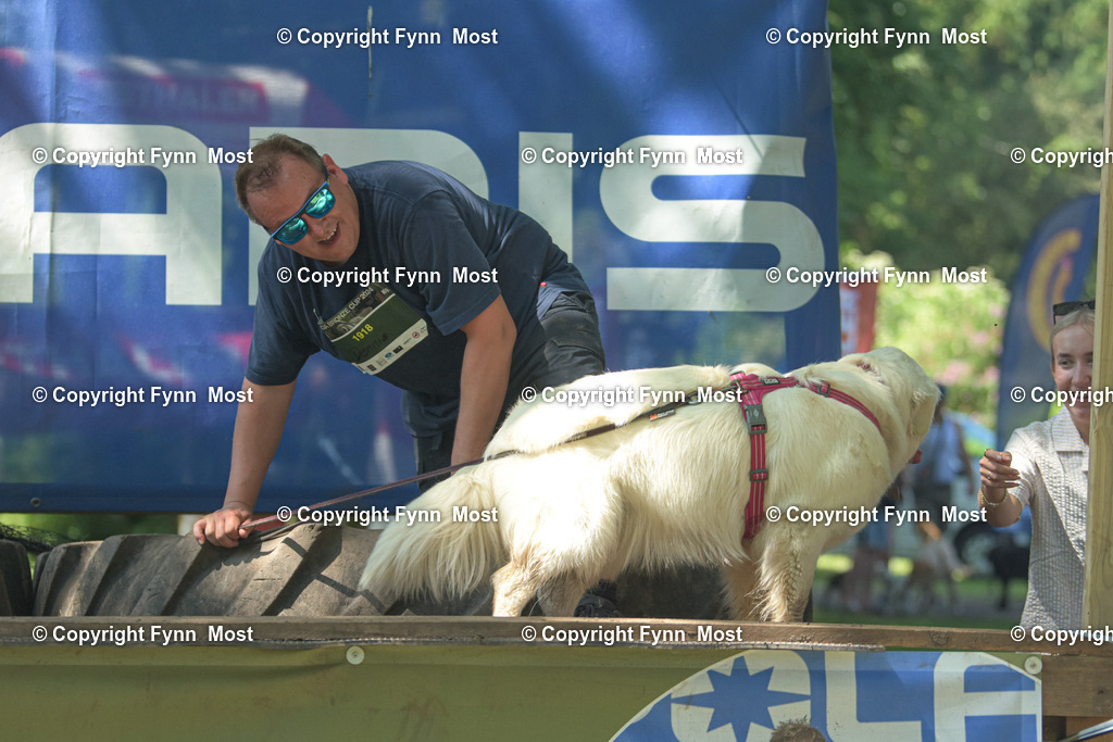 DSC_0472-2 | Hallo und herzlich Willkommen auf meiner Shop-Seite Fynn Most.

Ich wünsche Dir viel Spaß beim stöbern durch die Bilder, wenn Du Fragen hast oder Bilder vermisst, kannst du mir gerne eine Nachricht schreiben. - Realisiert mit Pictrs.com