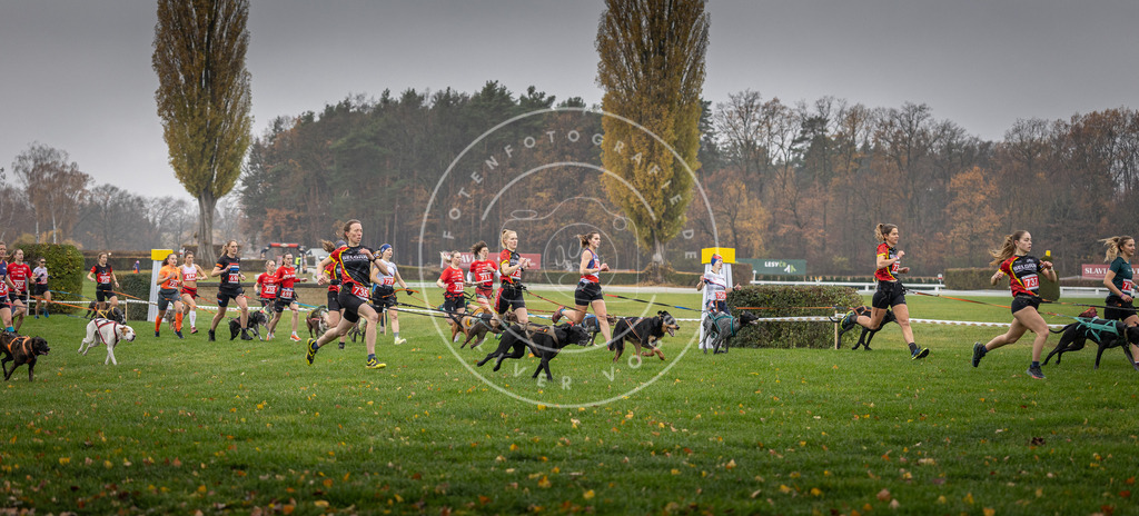 CaniXpix_DV3A8786 | Hundefotografie, Tierfotograf, Pfotenfotografie, Fotoshooting Hund, Hunde Portrait, Hundesport, Hundeportraits, Heideshooting, Hunde, Sportfotograf, Hundefotograf, Turnierhundsport, THS,  - Realisiert mit Pictrs.com