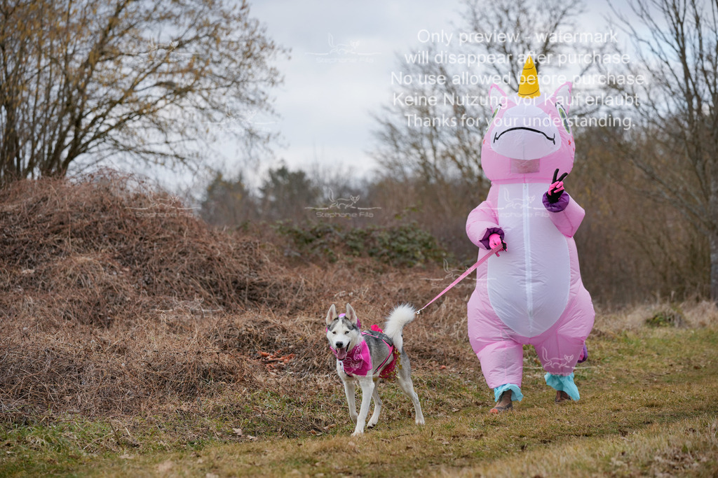 Fasching-26 | stephaniefillaphotographie - Realisiert mit Pictrs.com