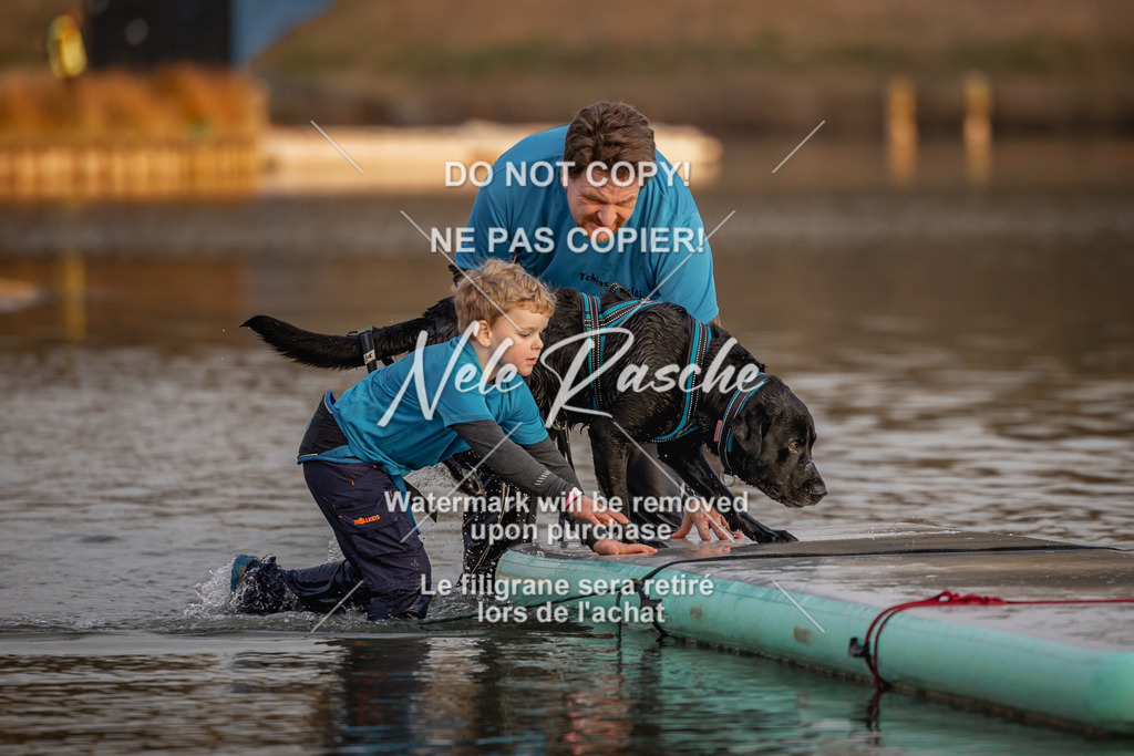 nelerasche_Hulsbeek_Sa1730-Ende_433 | nelerasche