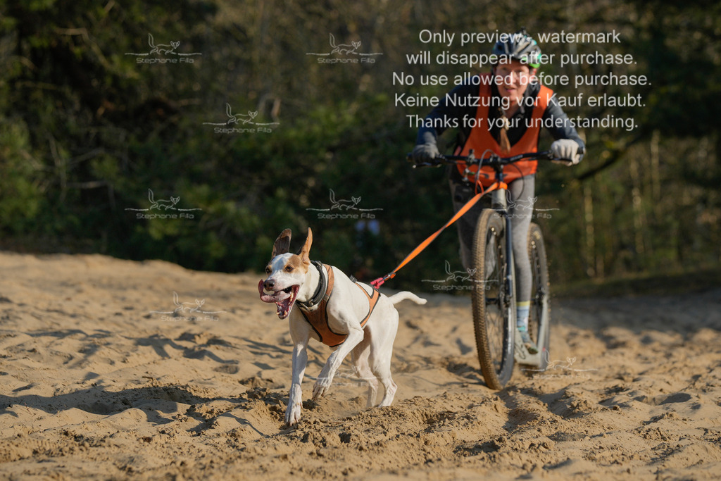 So_Scooter-154 | stephaniefillaphotographie - Realisiert mit Pictrs.com