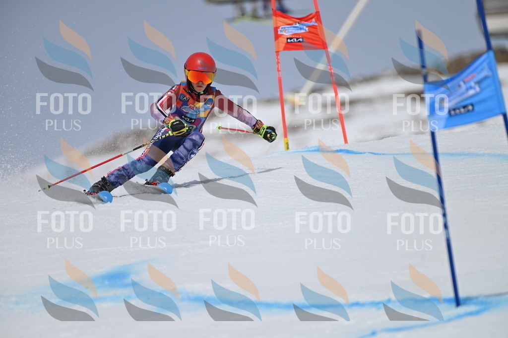 BGV_3648 | holidayphoto