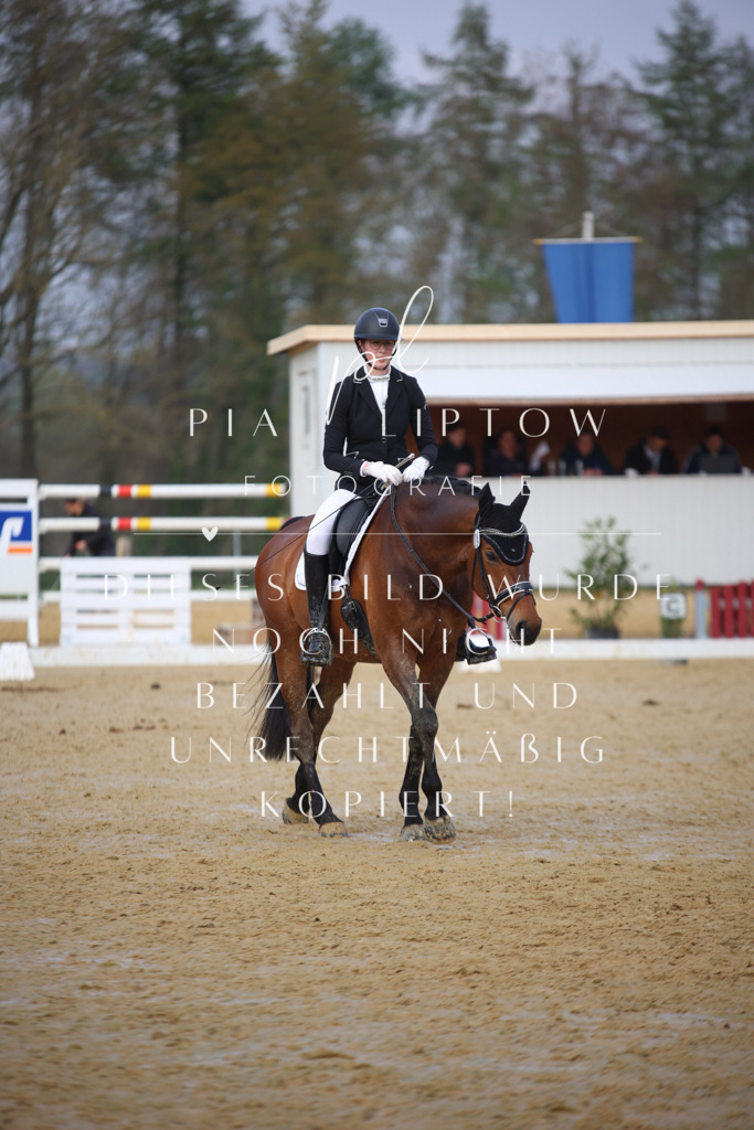 IMGT8256 | pl-fotografie