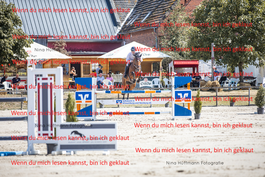 BK1A6653 | Turnierbilder Turnierfotos Nina Hüffmann Turnierfotografie Pferdefotografie Tierzeichnung Haustierzeichnung Pferdezeichnung Hundezeichnung Videograf  - Realisiert mit Pictrs.com