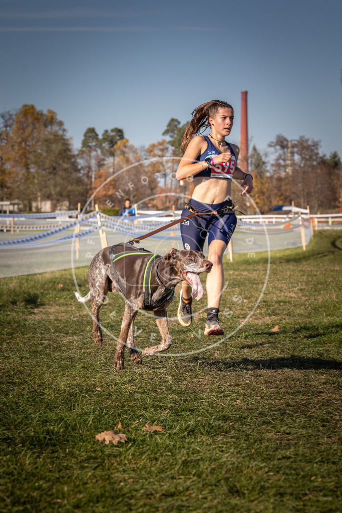 CaniXpix_0L8A8426 | Hundefotografie, Tierfotograf, Pfotenfotografie, Fotoshooting Hund, Hunde Portrait, Hundesport, Hundeportraits, Heideshooting, Hunde, Sportfotograf, Hundefotograf, Turnierhundsport, THS,  - Realisiert mit Pictrs.com