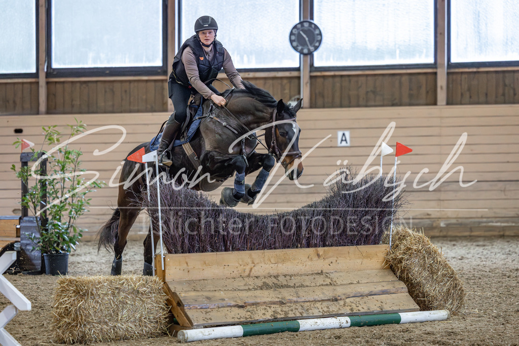 20260222-_3LI1570 | Tierfotografie Pferde, Hunde, Katzen, Haustiere.
Turnierfotografie Reitturniere, Reiten, Springreiten, Dressur in Hanau, dem Main-Kinzig-Kreis und dem Rhein-Main- Gebiet um Frankfurt