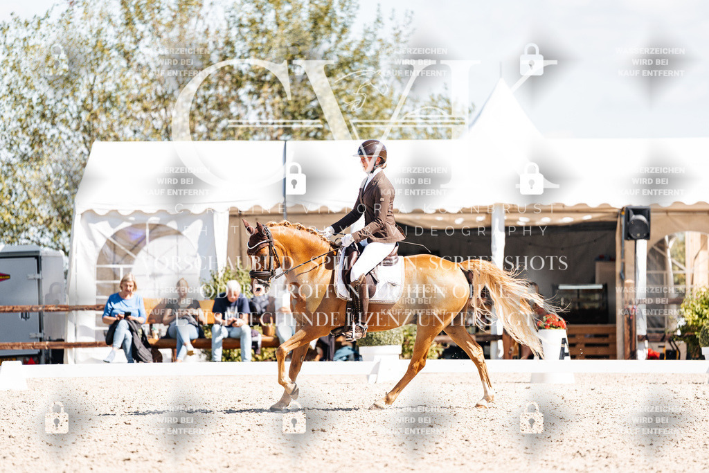 CK903701 | Turnierfotografie Pferdefotografie Trier Rheinland-Pfalz Pferdesport Reitsport Tierfotografie Sportfotografie Pferdevideo Pferdevideografie Equestrianvideography equestrianphotography  - Realisiert mit Pictrs.com