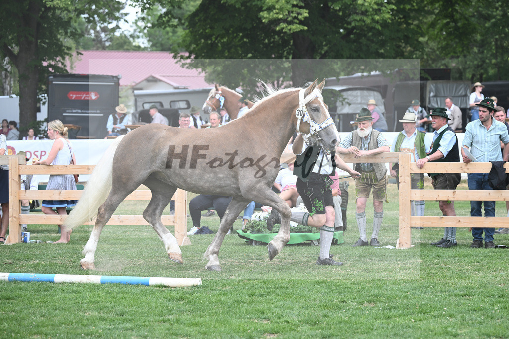 Kat-Nr. 30 Niagara_Bacher_20230450 | hf-fotografie - Realisiert mit Pictrs.com