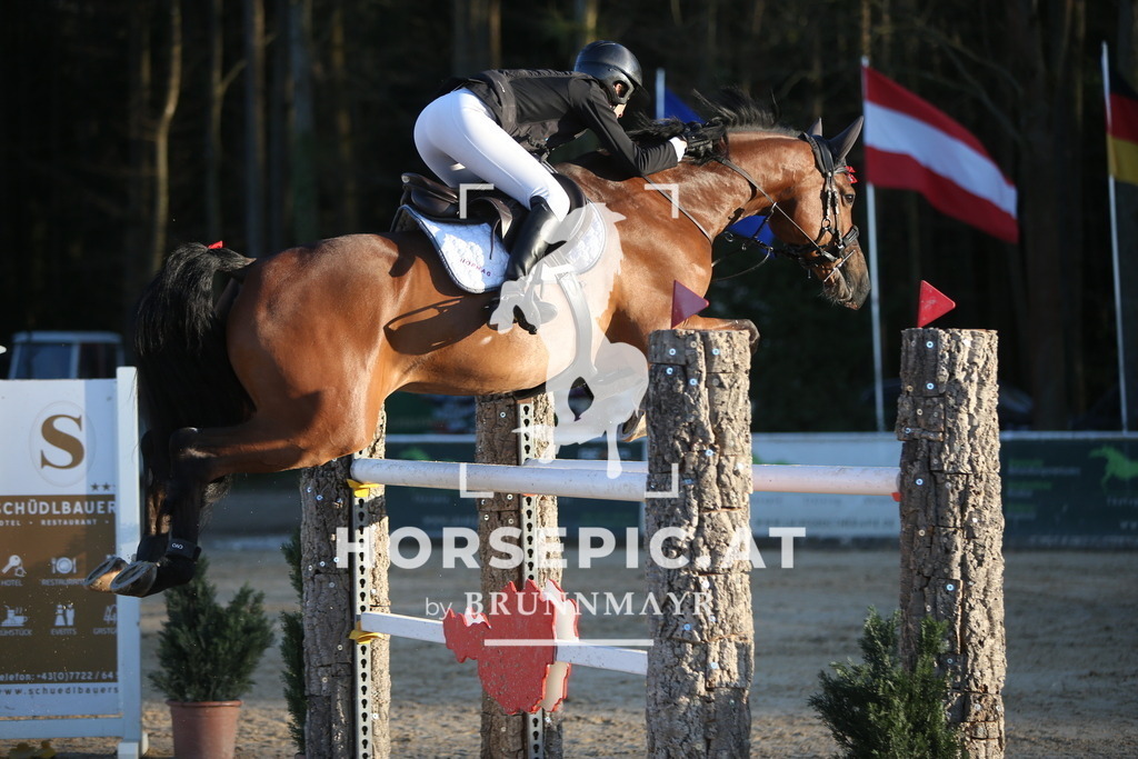 PP016485 | Willkommen bei Brunnmayr - Design & Fotografie – Ihrem Spezialisten für Reitturniere und Pferdeveranstaltungen in Oberösterreich, Salzburg und Bayern! Seit über 17 Jahren sind wir leidenschaftlich dabei.