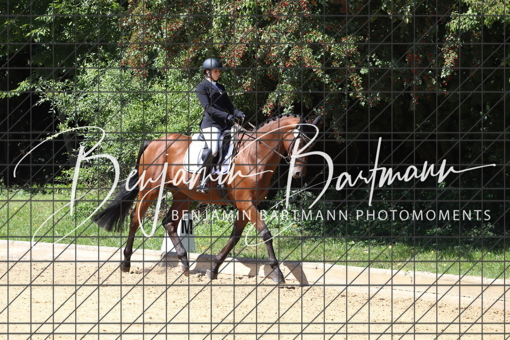 IMG_6568 | Benjamin Bartmann Photomoments