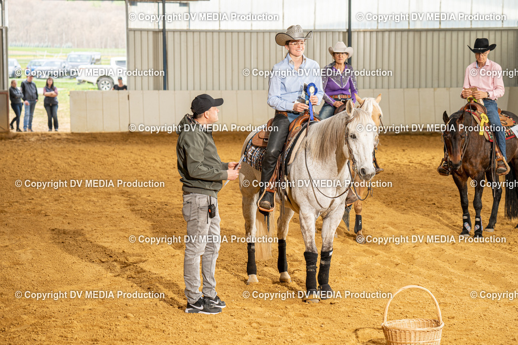 MIT01376 | dv-media-shop - Realisiert mit Pictrs.com