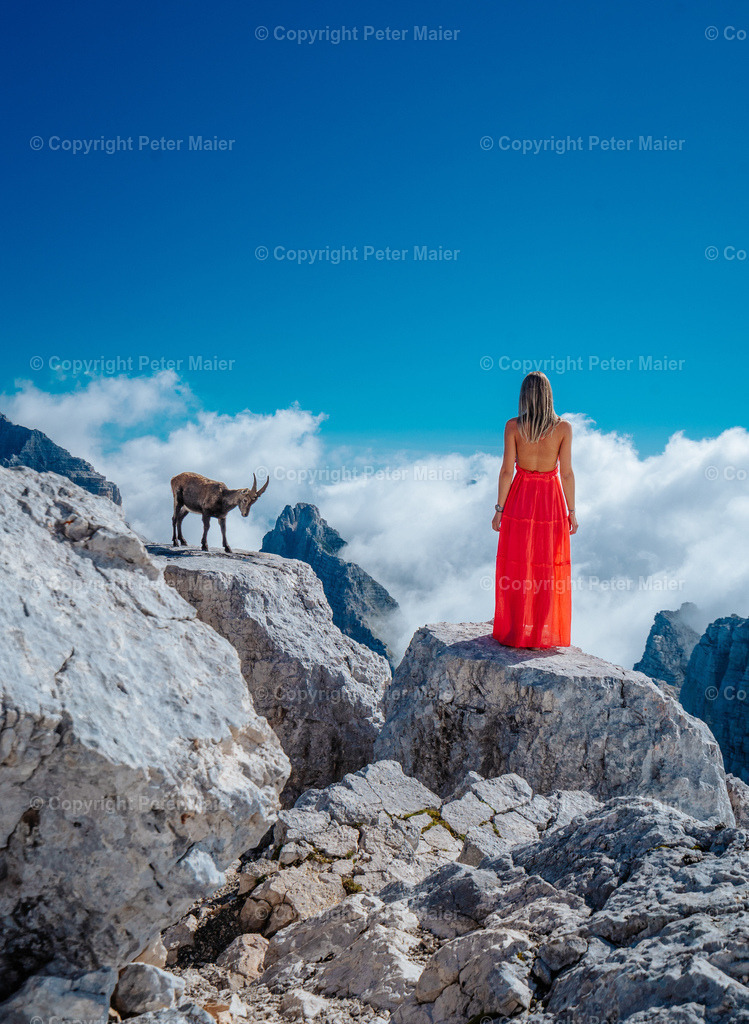 Luca_Vuerich-341 | piet_flosse