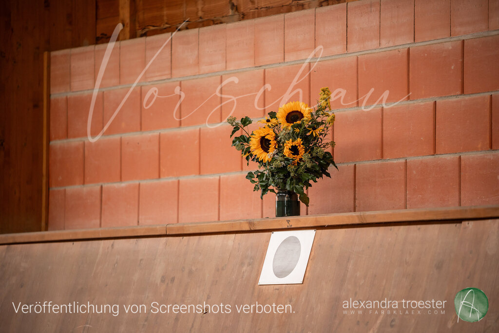 250912_Barop_07_216 | farbklaex.com