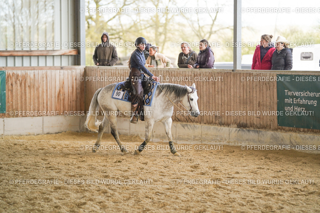 DSC08921 | Pferdegrafie