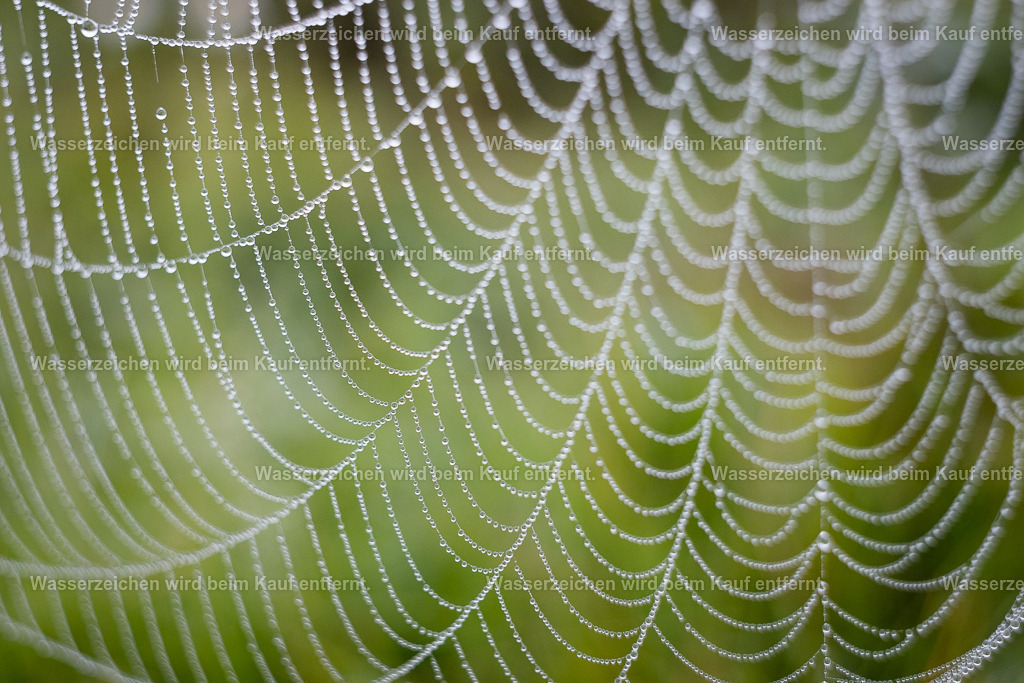 Im Spinnennetz der Möglichkeiten | Die Botschaft zum Bild lautet: In dieser Energie siehst du aufgereiht die Perlen der Möglichkeiten. Und all das kannst du sein, wenn du dein Leben webst in Freude und Dankbarkeit. Schau doch mal hin, was alles schon in deinem Leben so magisch und wundervolles wie diese Diamant-Glitzer-Tropfen an diesem Spinnennetz ist. Und wenn du dich ausrichtest, mal von oben zu schauen, dann ist das dein Leben. Sei gelassen und sieh die Löcher im Spinnennetz als gegeben an. Doch das, was es wirklich ausmacht, ist fein gewebtes Leben.