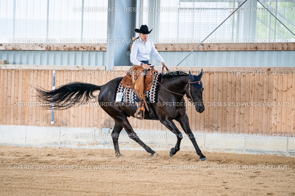 DSC08293 | Pferdegrafie