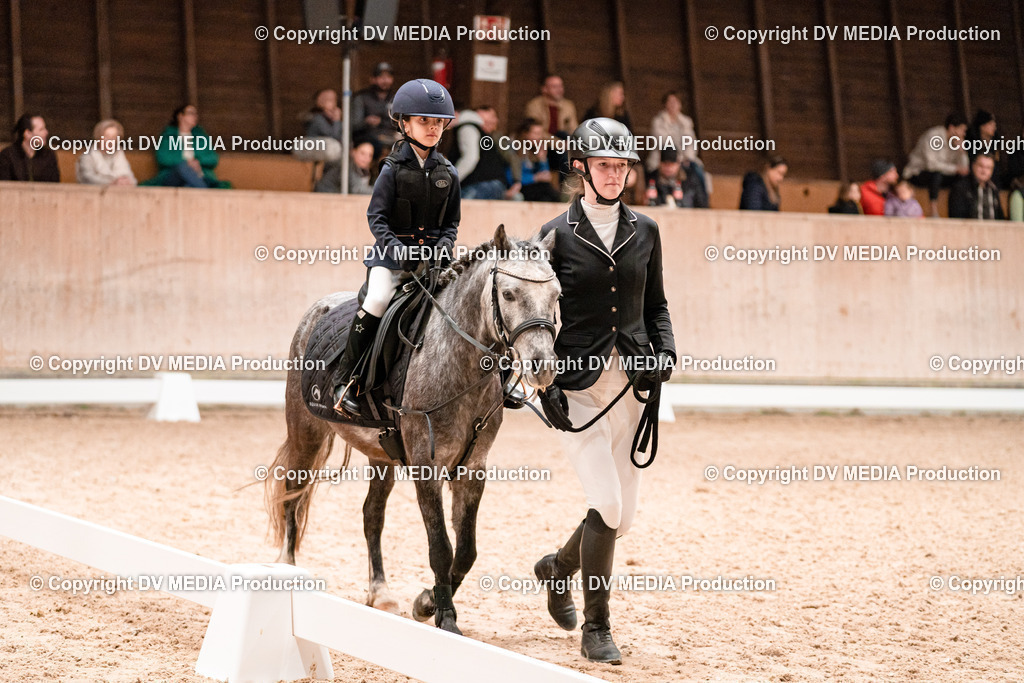 Dressur Tag 3-440 | dv-media-shop - Realisiert mit Pictrs.com