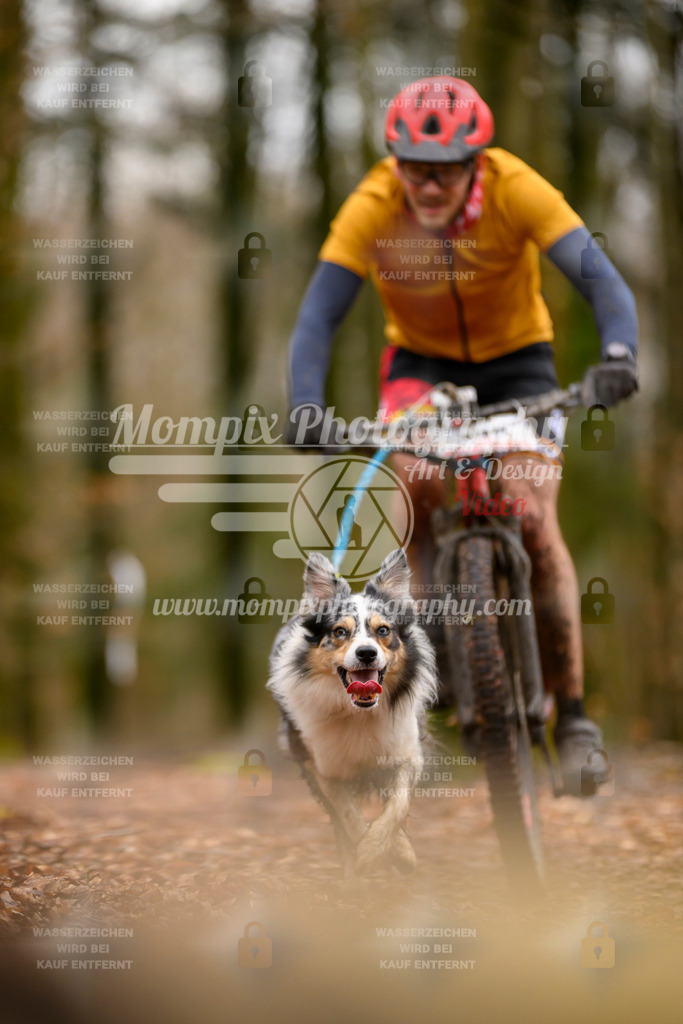 MompixPhotography_Habay2024_SA_Bike-78 | PayLife