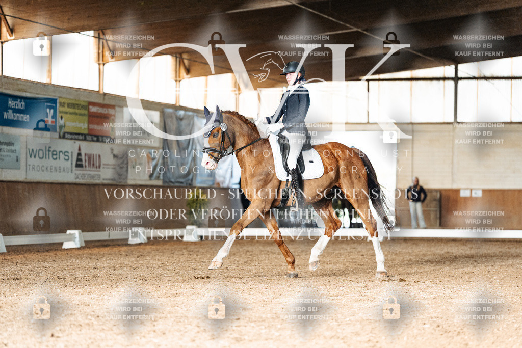 CK903269 | Turnierfotografie Pferdefotografie Trier Rheinland-Pfalz Pferdesport Reitsport Tierfotografie Sportfotografie Pferdevideo Pferdevideografie Equestrianvideography equestrianphotography  - Realisiert mit Pictrs.com