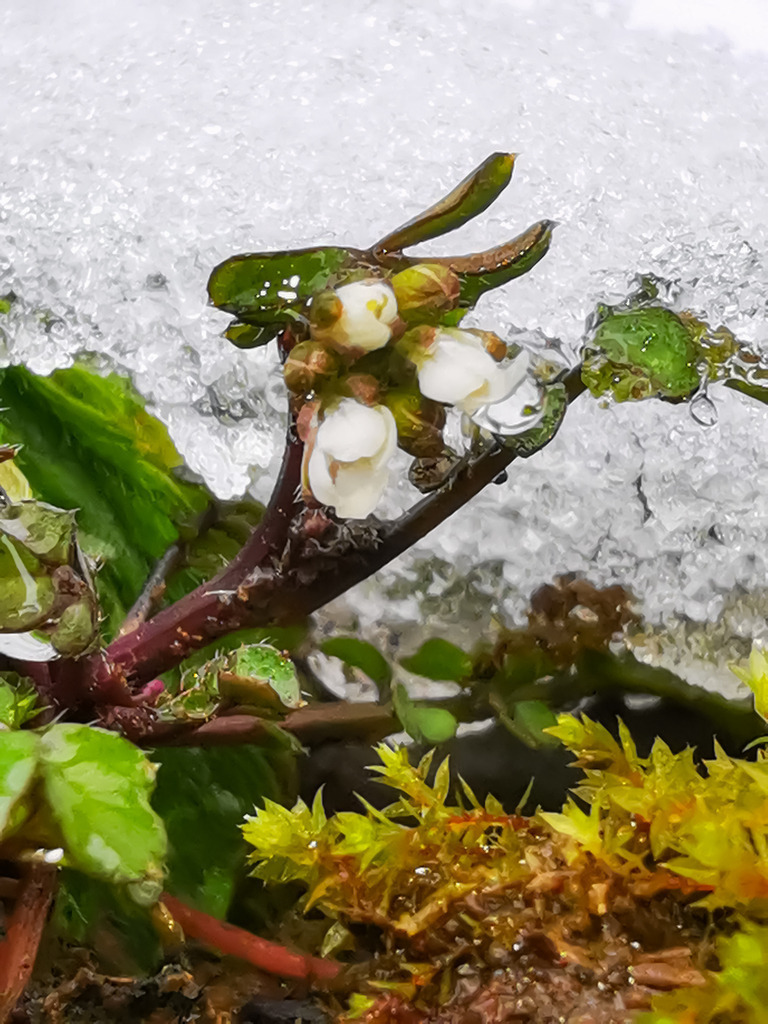 PSX_20230301_225924 | mtkfoto_ - Realisiert mit Pictrs.com