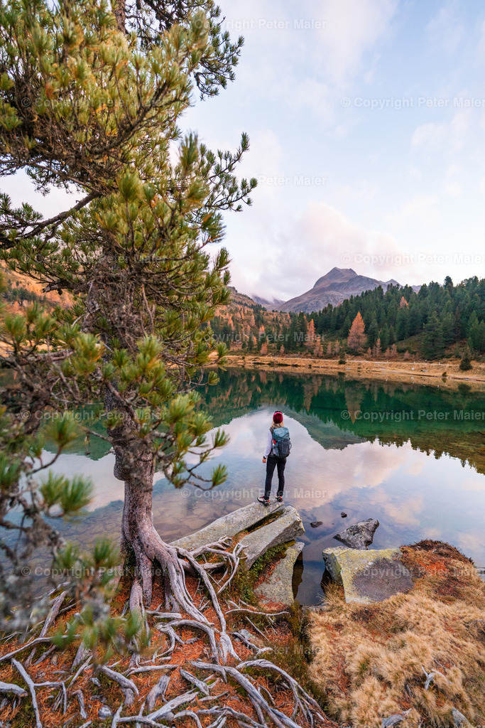 Defereggental_Herbst_Oktober_2024-497 | piet_flosse