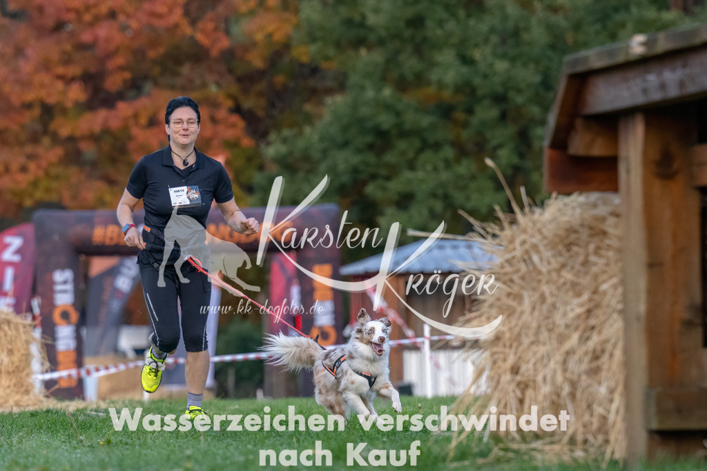 0815_ZZ90017-Bearbeitet | kk-dogfotos