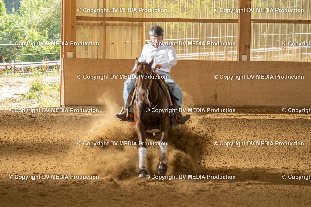 LAU01768 | dv-media-shop - Realisiert mit Pictrs.com