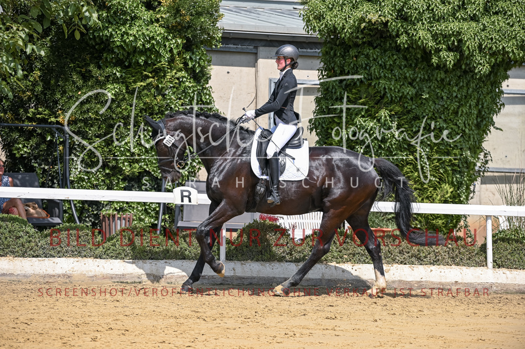 Schugtsche-Aluta25-53.Amat.Dressurprf.A2-303 | Schugtsche Fotografie - Realisiert mit Pictrs.com