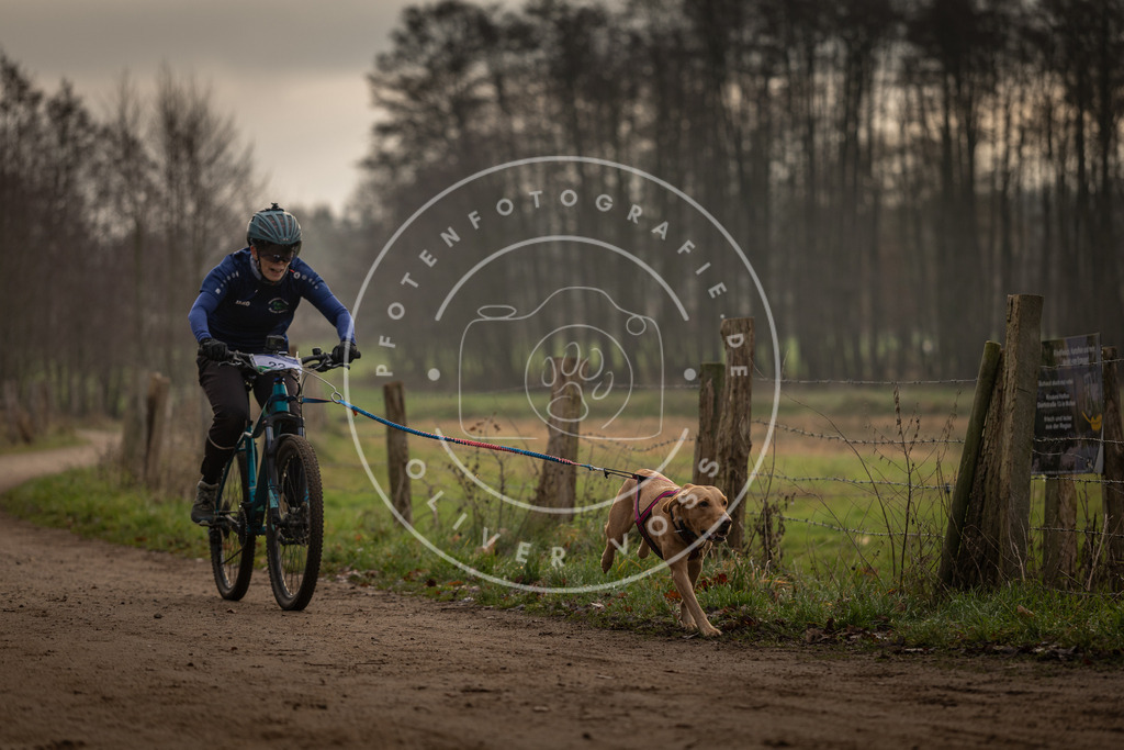 Pfotenfotografie_DV3A1975 | Hundefotografie, Tierfotograf, Pfotenfotografie, Fotoshooting Hund, Hunde Portrait, Hundesport, Hundeportraits, Heideshooting, Hunde, Sportfotograf, Hundefotograf, Turnierhundsport, THS,  - Realisiert mit Pictrs.com