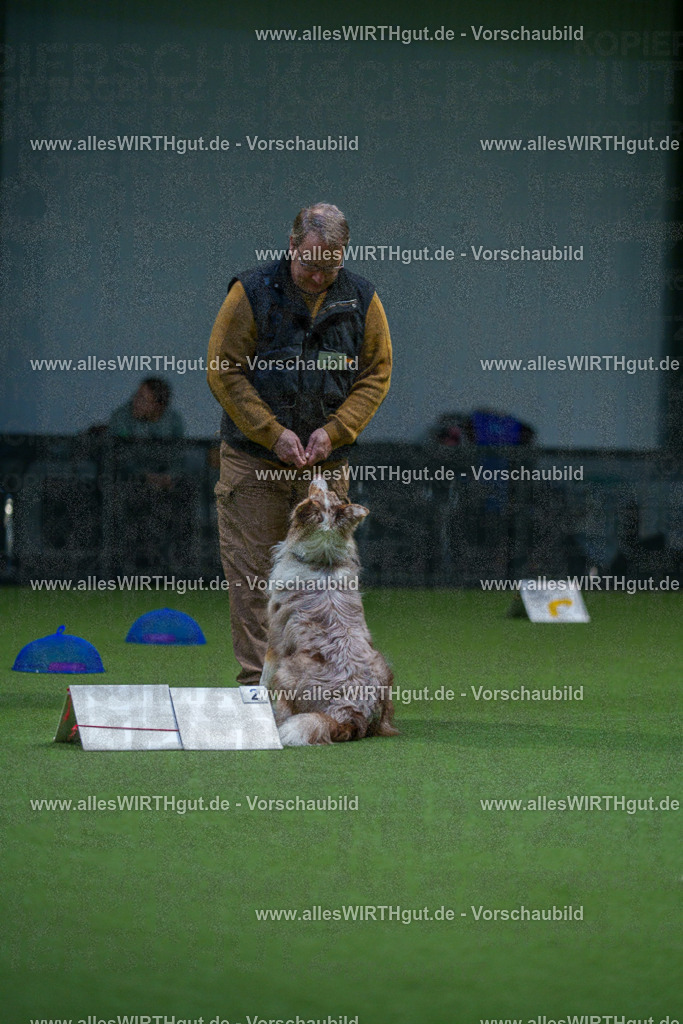 7R500525 | Professionelle Tierfotografie in Mönchengladbach von Daniel Wirth (allesWIRTHgut). Liebevolle & natürliche Bilder von Hunden & Katzen für unvergessliche Erinnerungen.