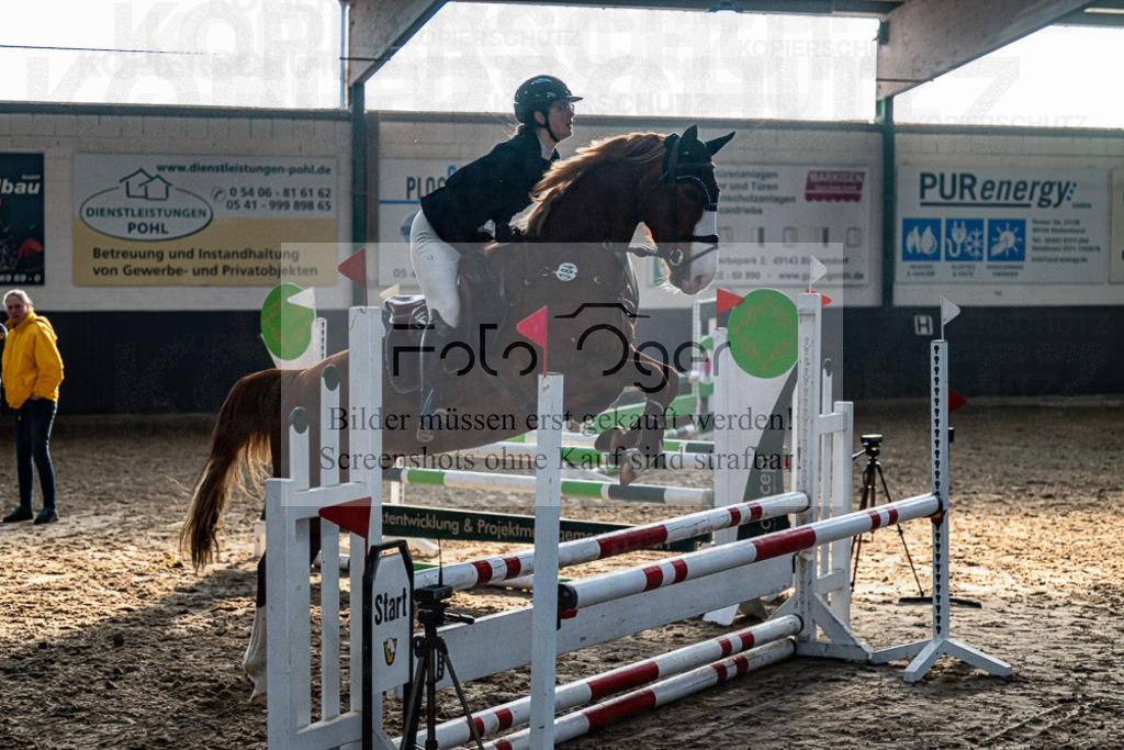 20240308-DOS_2542 | Entdecke hochwertige Reitturnierfotos von Foto Oger. Professionell, emotional und authentisch – jetzt Lieblingsmomente im Shop bestellen.Deutschlandweite Turnierfotografie. - Realisiert mit Pictrs.com