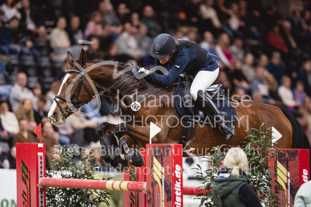 231028_Oldenburg_S1-Spr_Amateure-239 | Deine schönsten Turniermomente als professionelle Fotos! Entdecke hochwertige Pferdesport-Fotografie im Online-Shop. Jetzt Fotos finden & bestellen!