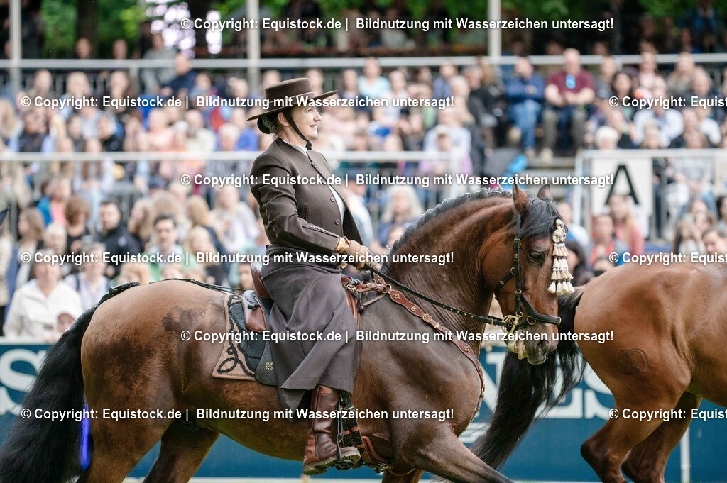 20250606_Lange-Pferdenacht_0597 | Foto: Thomas Hartig