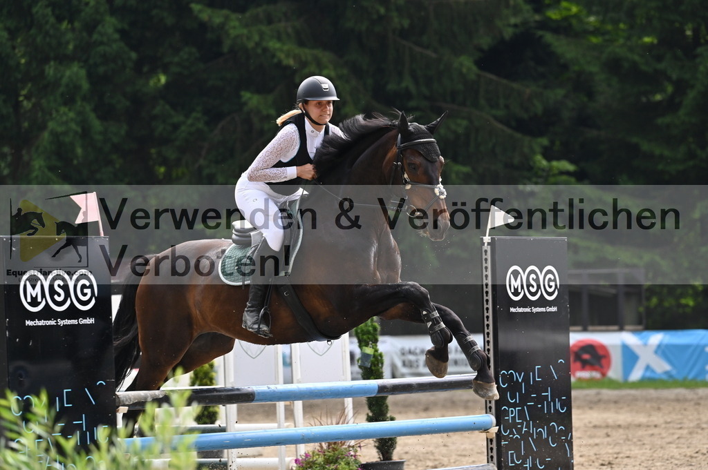 DSC_4659 | equestrian-live-com