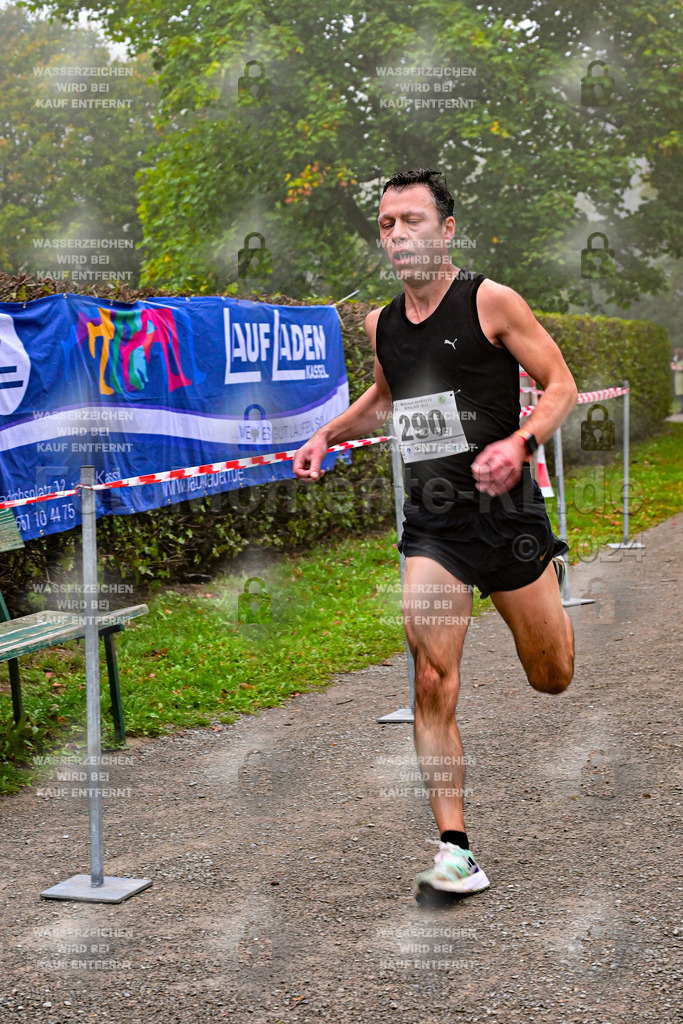 Z8N_1170 | la-psv - Realisiert mit Pictrs.com