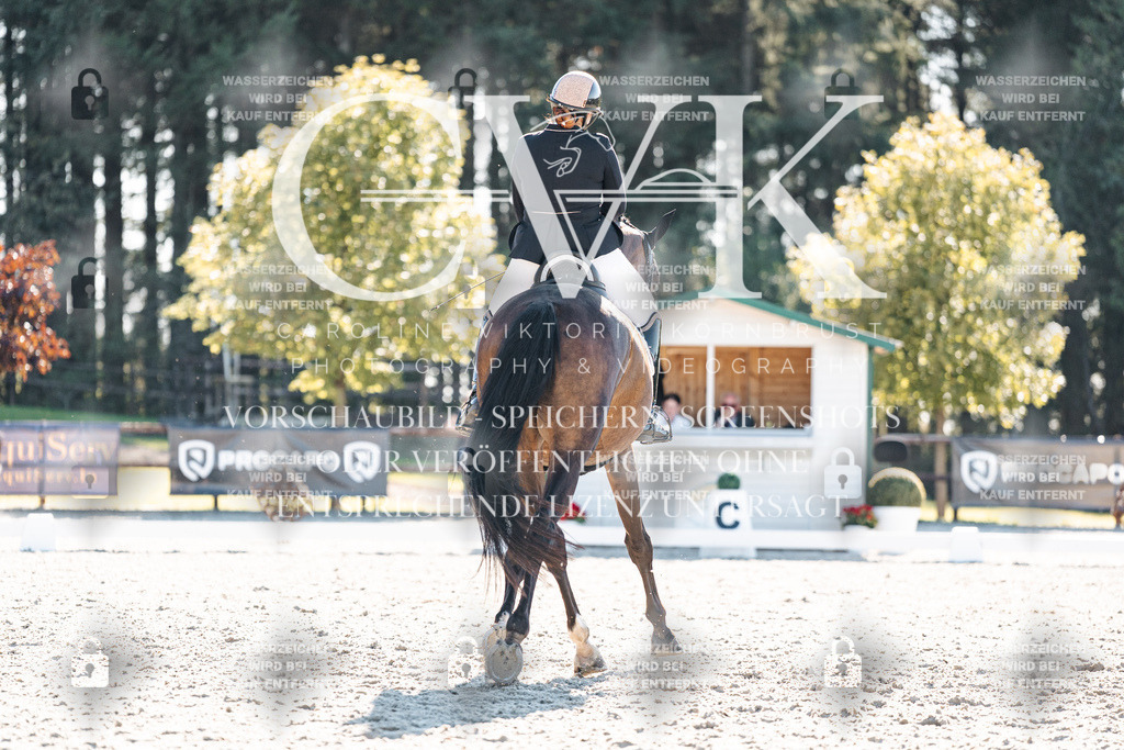CK906116 | Turnierfotografie Pferdefotografie Trier Rheinland-Pfalz Pferdesport Reitsport Tierfotografie Sportfotografie Pferdevideo Pferdevideografie Equestrianvideography equestrianphotography  - Realisiert mit Pictrs.com
